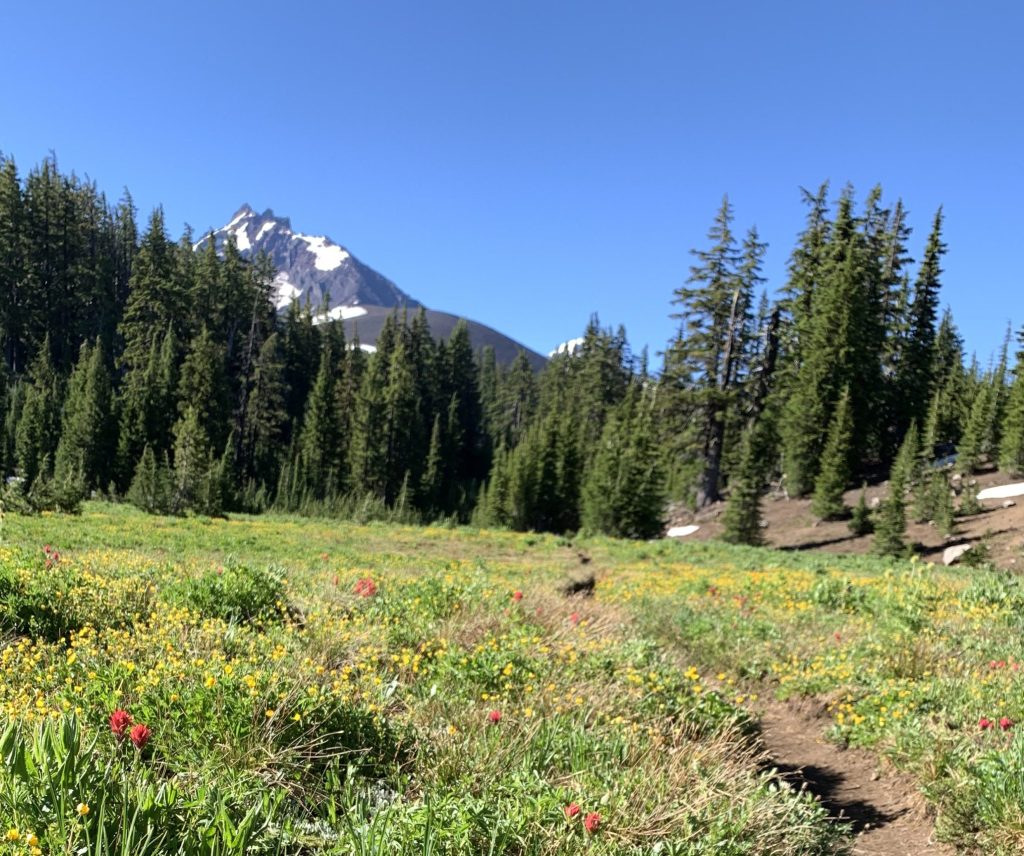 OR PCT: Where the trail&nbsp;ends.